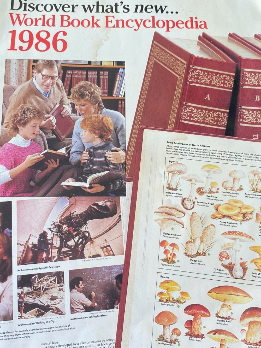 1986 World Book Encyclopedia Promotional Brochure